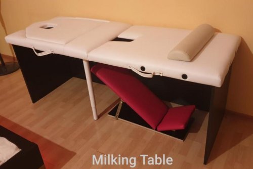 Milking Table Praha