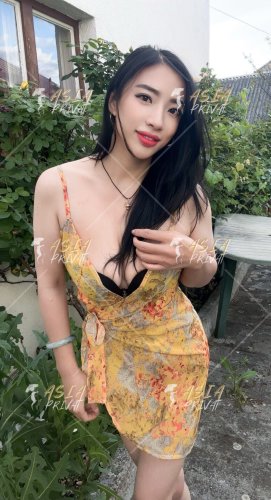 Asia Privat Plzen