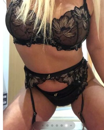 Míša Novinka Česká